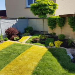 Abattage : enlevez les arbres dangereux ou indésirables de votre jardin en toute sécurité Brignoles